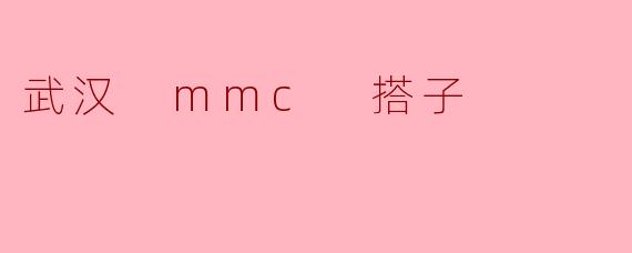 武汉 mmc 搭子